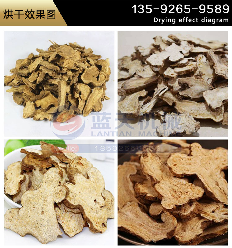 白術(shù)烘干機烘干效果