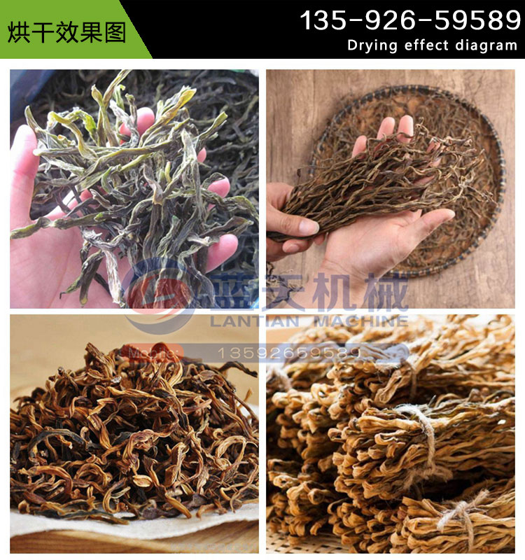 長(zhǎng)豇豆烘干機(jī)烘干效果